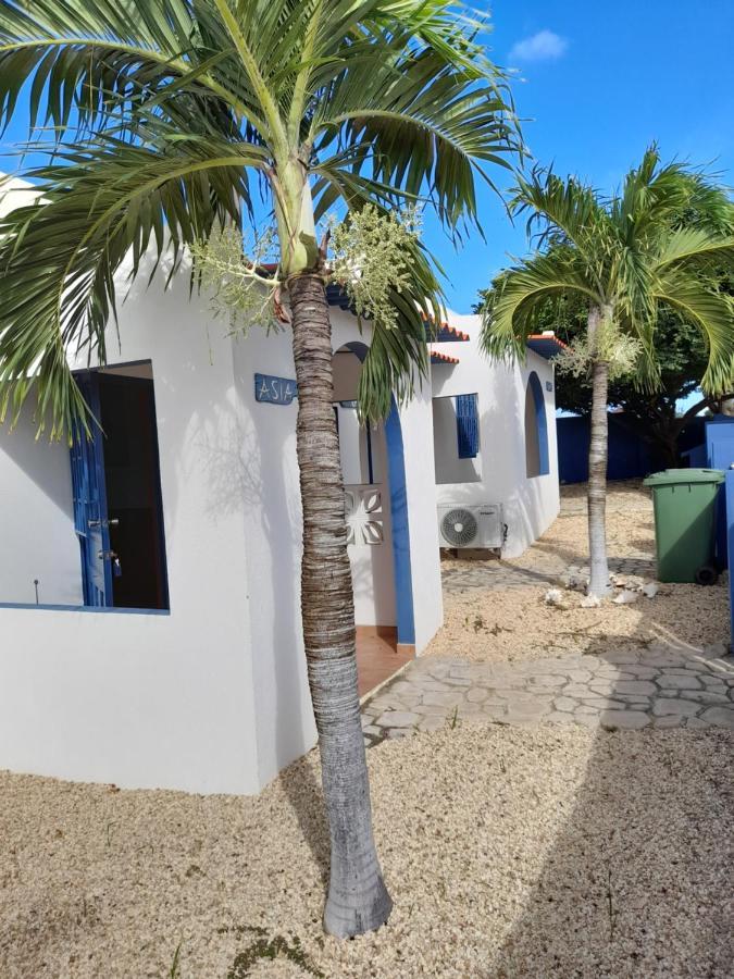 Caribbean Chillout Apartments Playa Eksteriør bilde