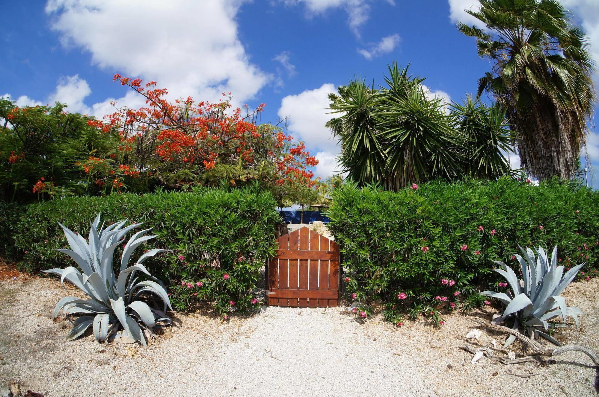Caribbean Chillout Apartments Playa Eksteriør bilde