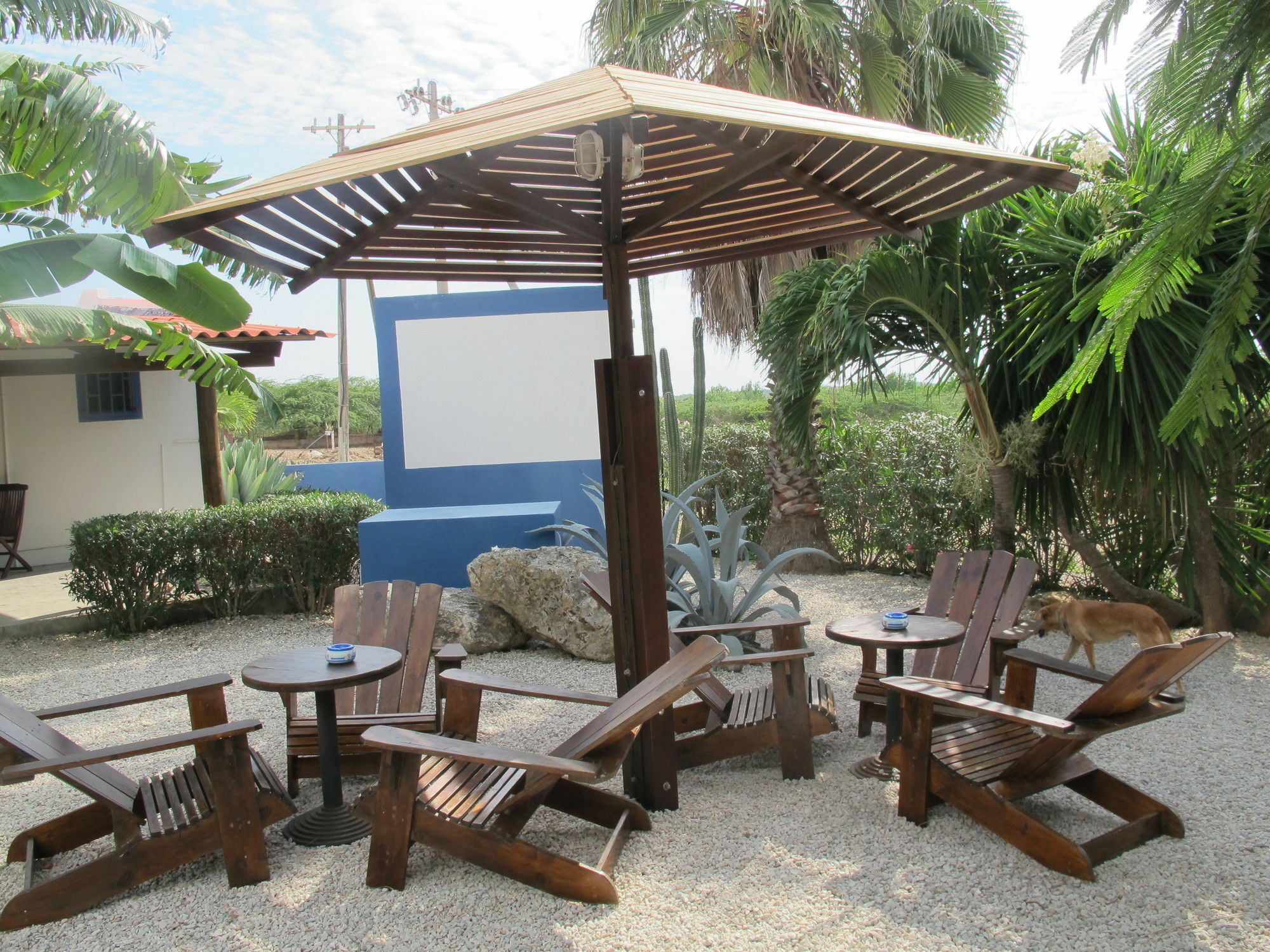 Caribbean Chillout Apartments Playa Eksteriør bilde